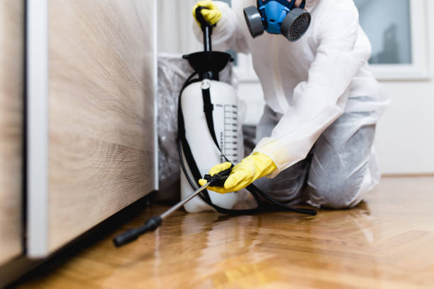 Trusted Hays, MT Pest Control Experts