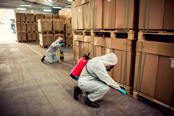 Best Affordable Pest Control Services  in Hays, MT