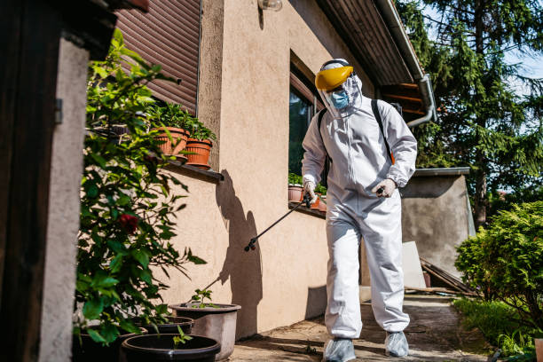Best Pest Prevention Services  in Hays, MT
