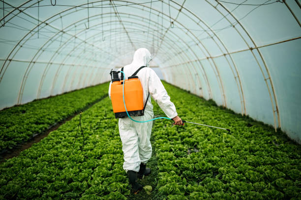 Best Best Pest Control Companies  in Hays, MT