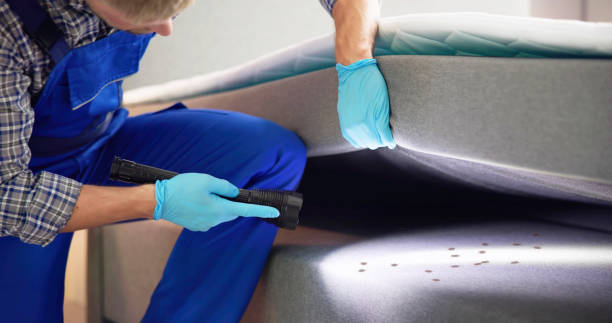 Best Pest Inspection Near Me  in Hays, MT