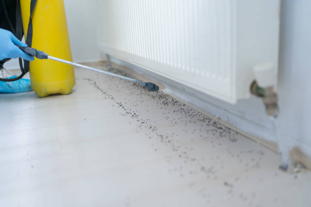 Best Best Pest Control Companies  in Hays, MT