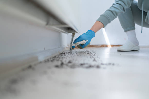 Best Pest Control for Restaurants  in Hays, MT