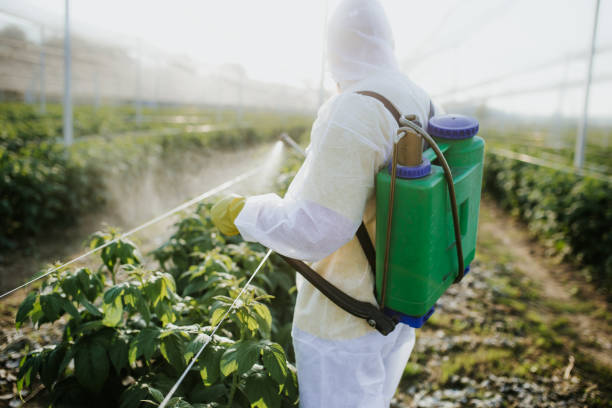 Pest Control for Restaurants in Hays, MT